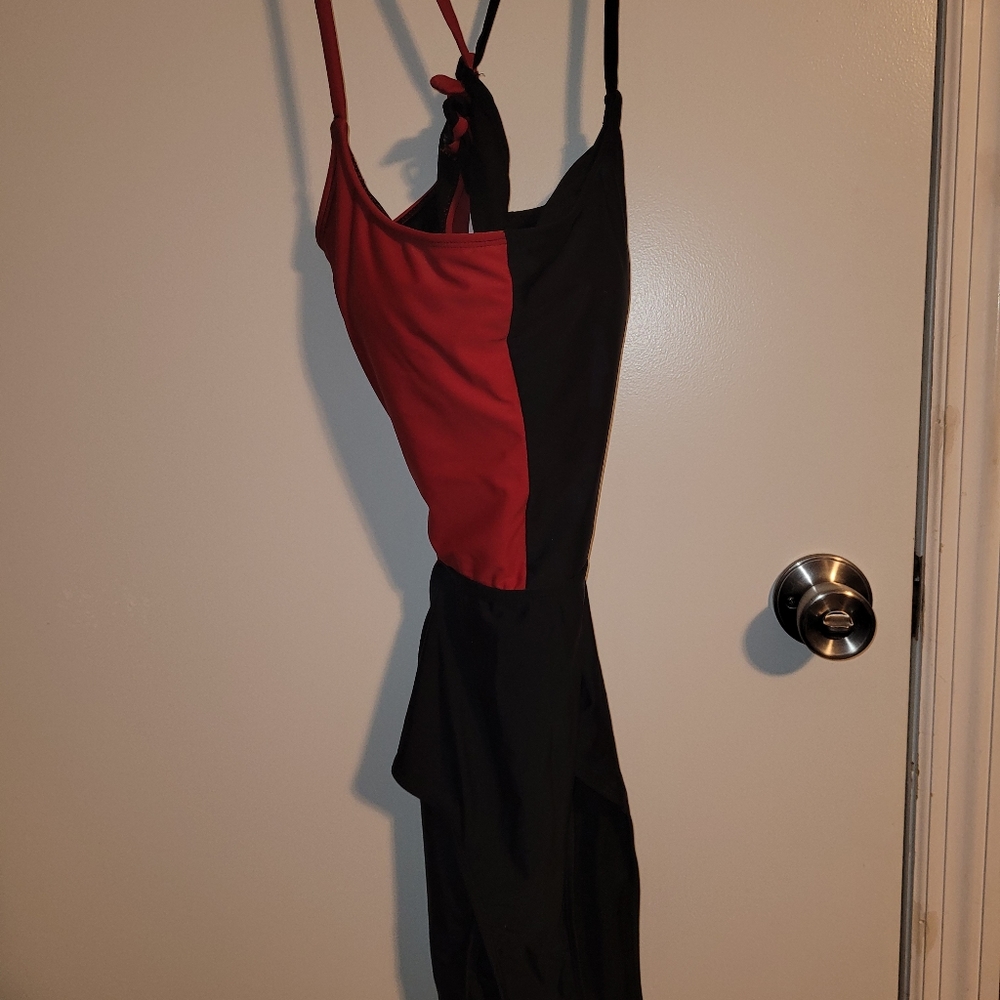 Harley Quinn one piece bathing suit